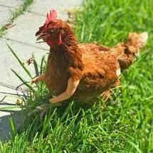 Github Sepses Krystal - Mountain Textures - Modern HD Collection