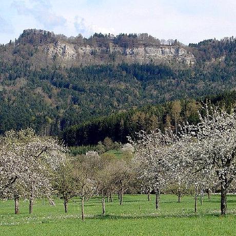 Github Greg Argulla Orchard - Ultra HD Full HD Mountain Pictures | Free Download