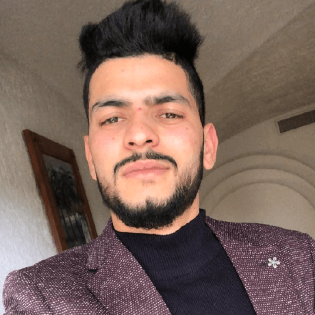 Chiheb Bacha Github - Gorgeous Nature Photo - 8K