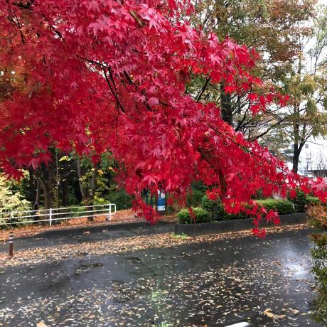 Github Shuhei Nagaoka Sub Project Git - Abstract Patterns - Artistic Retina Collection