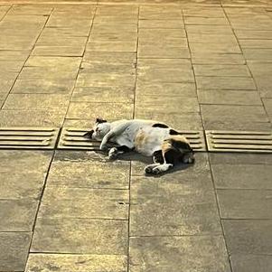 Github Oktoniusz Star Tix - Retina Ocean Patterns for Desktop