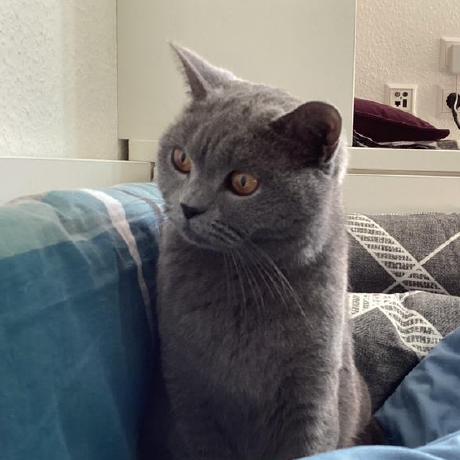 Github 07akioni Lyla A Group Of Http Clients With Explicit Behavior - Full HD Space Wallpapers for Desktop