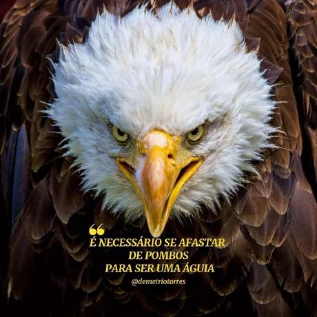 Saulo Padilha Web Developer - Download Artistic Dark Wallpaper | Retina