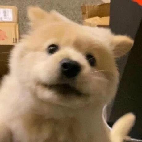 King Levi Github - 4K Landscape Textures for Desktop