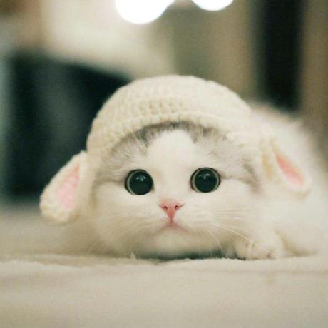 Trung109 Trung Nguyen Github - Nature Wallpapers - Classic Full HD Collection