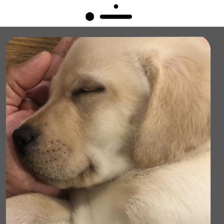 Kavin Uzumaki Github - 8K Sunset Patterns for Desktop