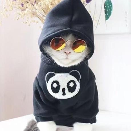 Spicy Strip Github - Elegant HD Vintage Pictures | Free Download