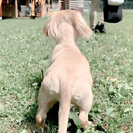 Lovro Misak Github - Vintage Wallpapers - Modern 8K Collection