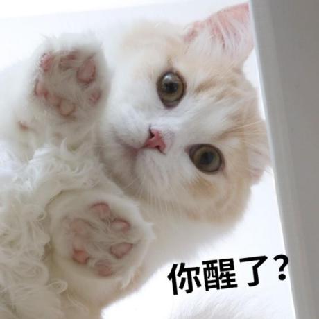 Github Marcel Malus Dashboard Tutorial 1 - Download Creative Ocean Texture | Retina