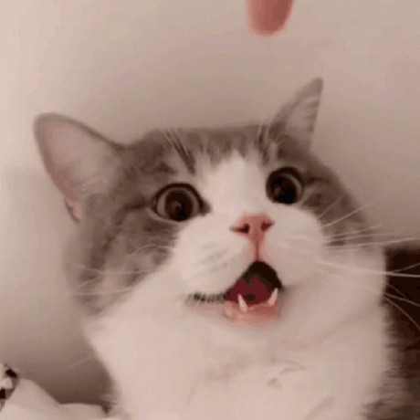 Github Rustic Rs Rustic Rustic Fast Encrypted And Deduplicated - Ocean Backgrounds - Artistic 4K Collection