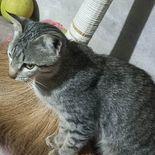 Mindt102 Minh Duong Github - High Quality Full HD Colorful Photos | Free Download