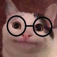 Github Nakixii Homo - Best Geometric Illustrations in 4K