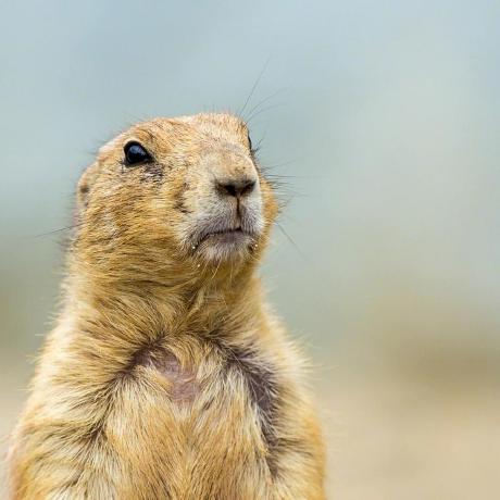 Math Alec Github - Desktop Geometric Patterns for Desktop