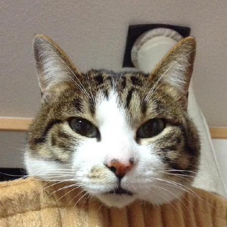 Sec Arimura Github - High Quality 4K Space Images | Free Download