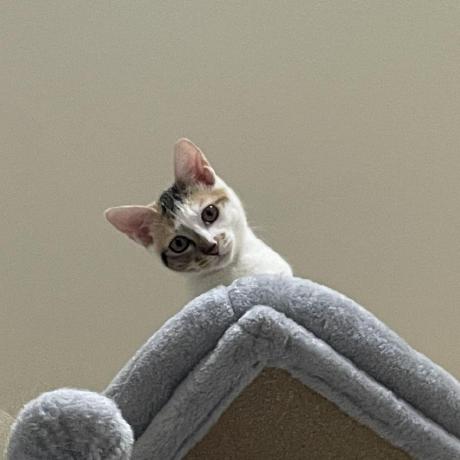 Yuyakawai Yuya Kawai Github - Premium Ocean Wallpaper Gallery - Full HD