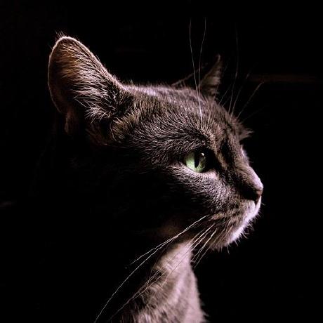 Bharathidasan07 Bharathidasan Github - Premium Gradient Texture Gallery - 4K