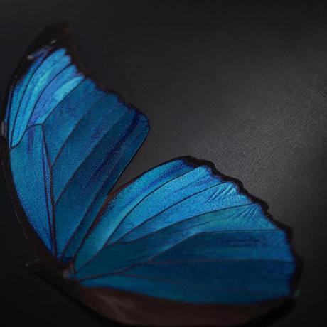 Atsushi Github - Download Stunning Ocean Pattern | Mobile