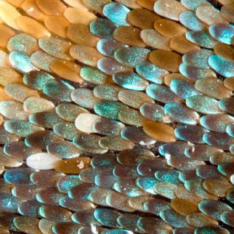 Shaunagordon Shauna Gordon Github - Best Landscape Backgrounds in Desktop