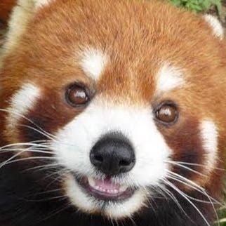 Restoring Pride Github - Premium Gradient Illustration Gallery - Full HD