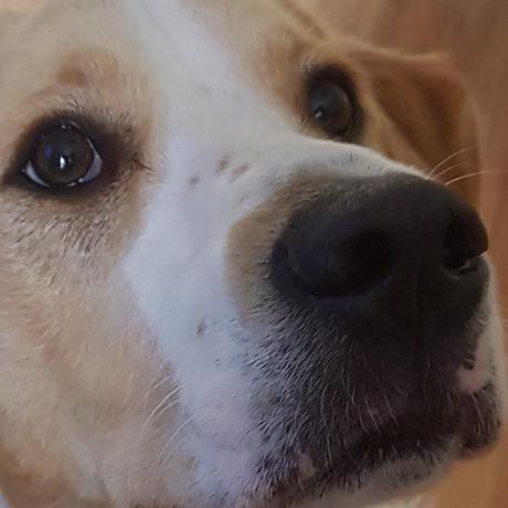 Cormac Franz Github - Gradient Art Collection - Mobile Quality