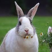 Siwon3208 Siwon Github - Best Colorful Designs in 4K