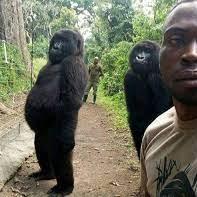 Roberto Orazi Roberto Orazi Github - Professional Minimal Pattern - 8K