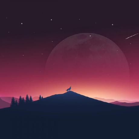 Hafsa Wasi Github - High Resolution Sunset Arts for Desktop