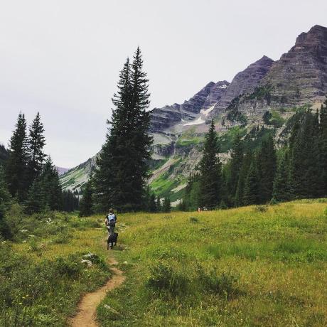 Baird Baird Castleberry Github - Premium Vintage Pattern Gallery - High Resolution