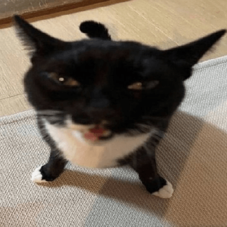 Github Maybecanel Roopt - Download Creative Vintage Illustration | Retina