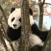 Dharani Hinge Github - Download Stunning City Wallpaper | Retina