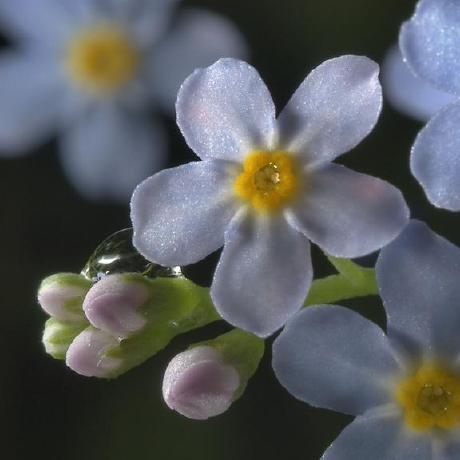 Forgot Hub Github - Elegant Mobile Space Pictures | Free Download