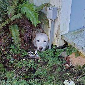 Robertdvdk Robert Van Der Klis Github - Download Amazing Abstract Art | Ultra HD