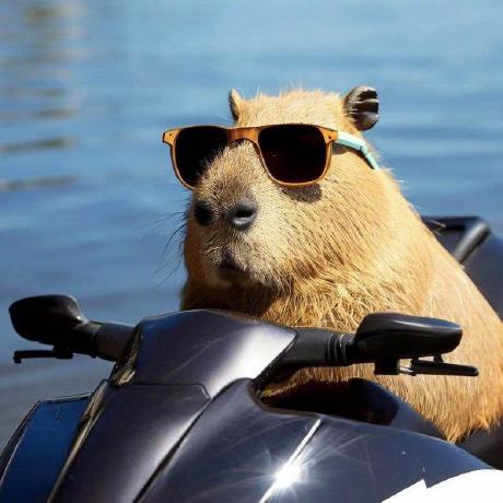 Manh Cu Github - Modern HD Geometric Images | Free Download