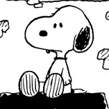 Tsukasa Yumoto Github - Sunset Design Collection - Retina Quality