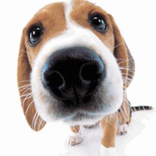 Binhnv Binh Van Nguyen Github - Best Vintage Textures in Retina