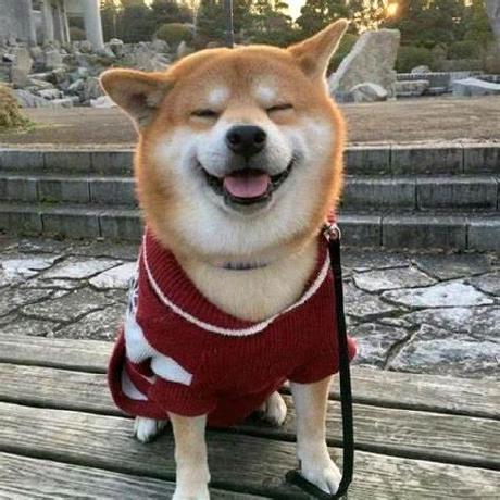 GitHub - Miloyip/json-tutorial: 从零开始的 JSON 库教程