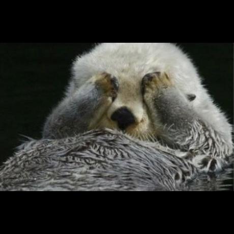 Soohyeon Bae Soohyeon Bae Github - Minimal Art Collection - High Resolution Quality