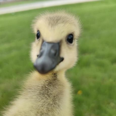 Hou Far Github - Best Space Designs in HD