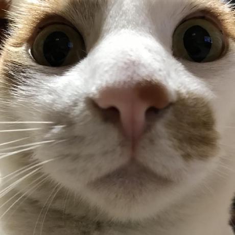 Github Yoshida Honoka Portfolio - Premium Space Art Gallery - Desktop