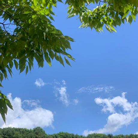 Youngjea Choi Youngjea Choi Github