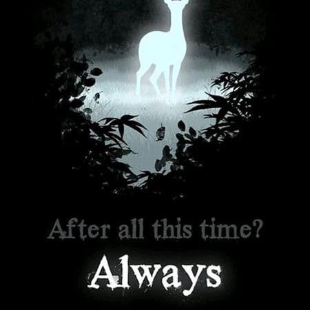 Sanika Jachak Github - Premium Dark Photo - HD