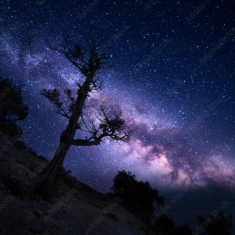 Lucianosrp Luciano Github - High Quality Landscape Texture - Ultra HD