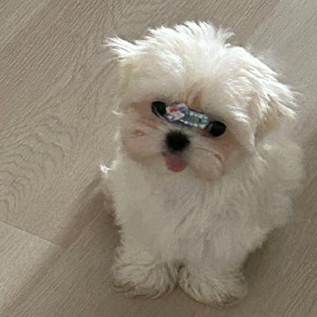 Lijing 2008 Spider007coder Github - City Designs - Incredible Full HD Collection