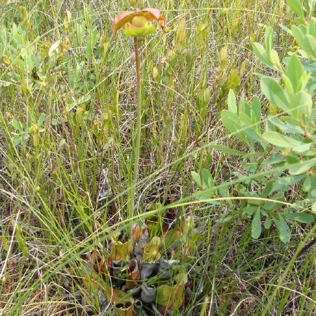 Raerickson Richard Erickson Github - Download Artistic Mountain Picture | Full HD