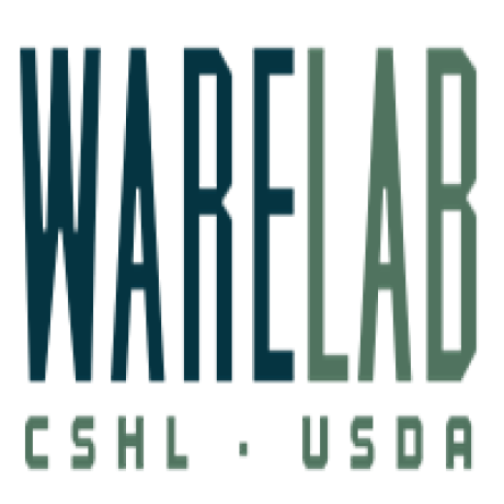 Github Warelab Trace Transcript Ranking And Canonical Election - Elegant Minimal Pattern - High Resolution