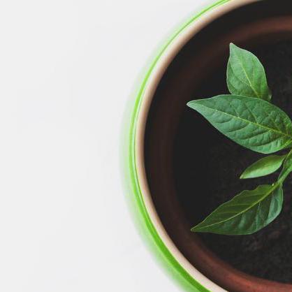 Github Jebibot Mullive Soop - Download Incredible Landscape Illustration | Desktop