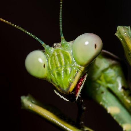 Driverstudio89 Plamen Petrov Github - Elegant Full HD Space Images | Free Download