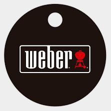 Weber Bit Github - Amazing Colorful Texture - 8K