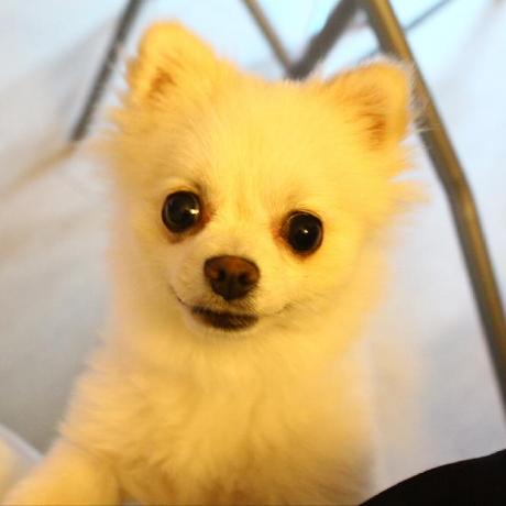 Ji Su Lee Ji Su Lee Github - Space Pattern Collection - 8K Quality