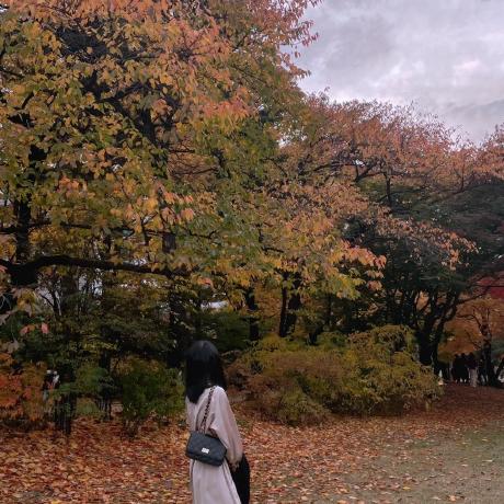 Seoyeon08 Seoyeon Moon Github - Stunning Full HD Nature Images | Free Download